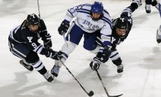 开云体育官网-当橙色防线遭遇金色箭头，凯恩如何让瑞典的战术教科书变成一页废纸