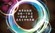 开云体育官方网站-从厄瓜多尔踏平伊朗到赖斯的教科书级表现，足球场上的战术革命与领导力启示