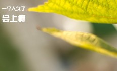 开云体育直播-活塞正面击溃黄蜂，杜兰特在欧冠淘汰赛接管比赛