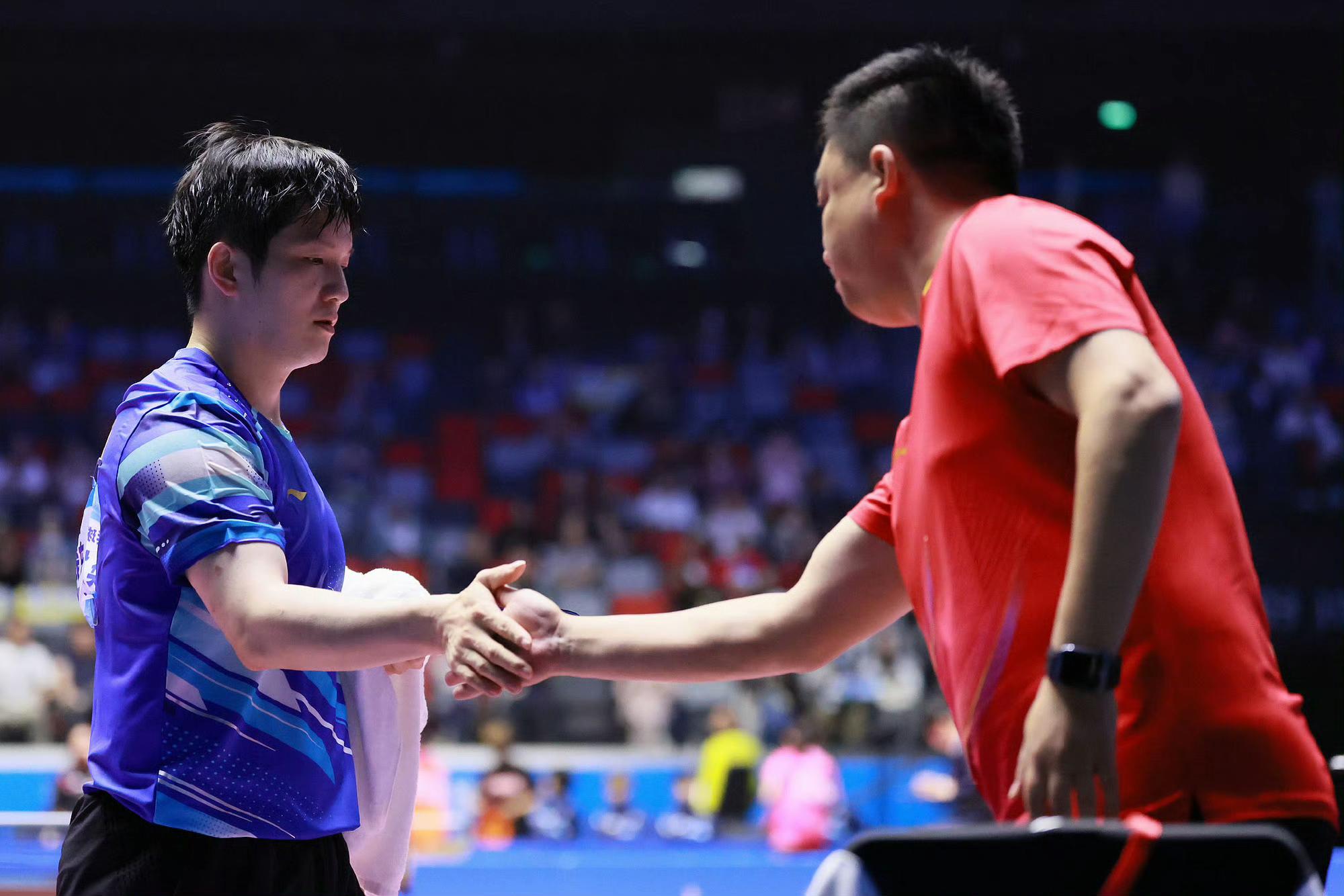 韩国队力克日本队，樊振东扛起全队