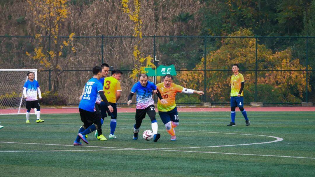 绿茵场上的较量充满激情和动力的简单介绍