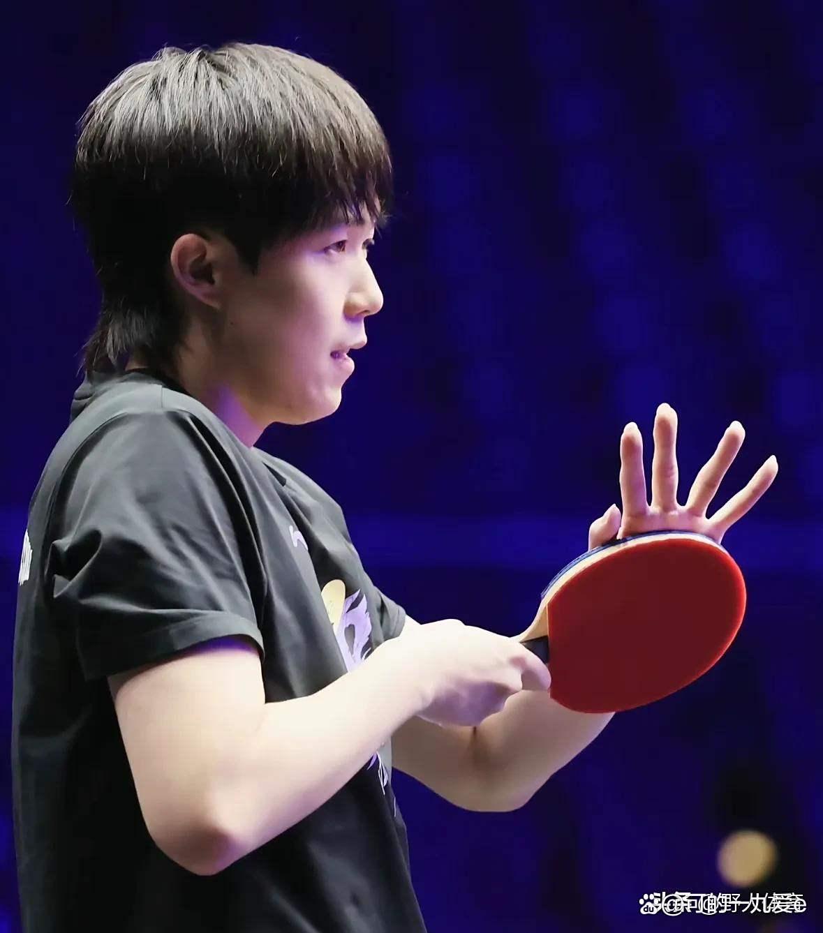 包含德国乒乓球队逆转奥地利乒乓球队，王皓送出助攻的词条