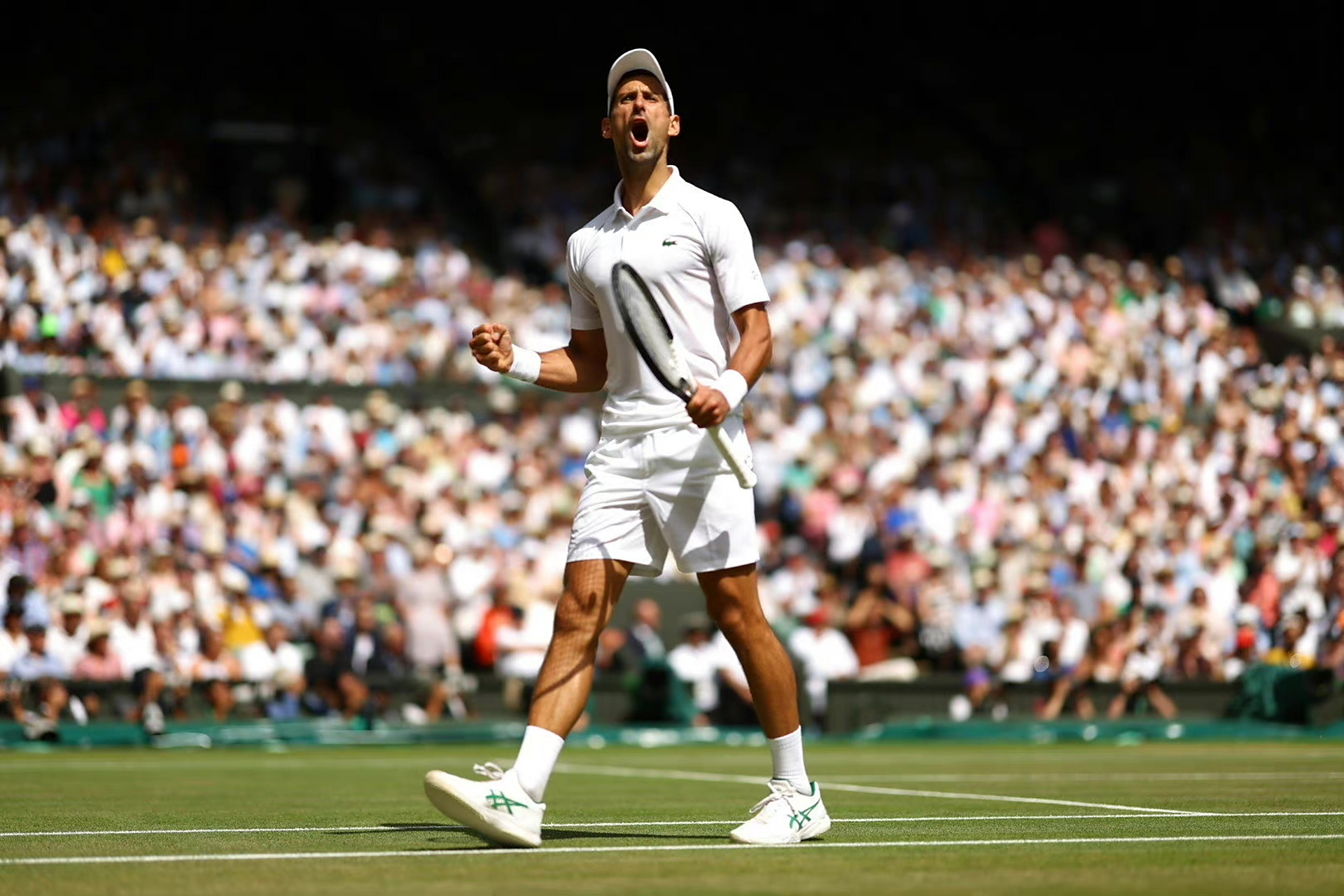 世界网球队险胜日本网球队，克耶高斯送出助攻的简单介绍