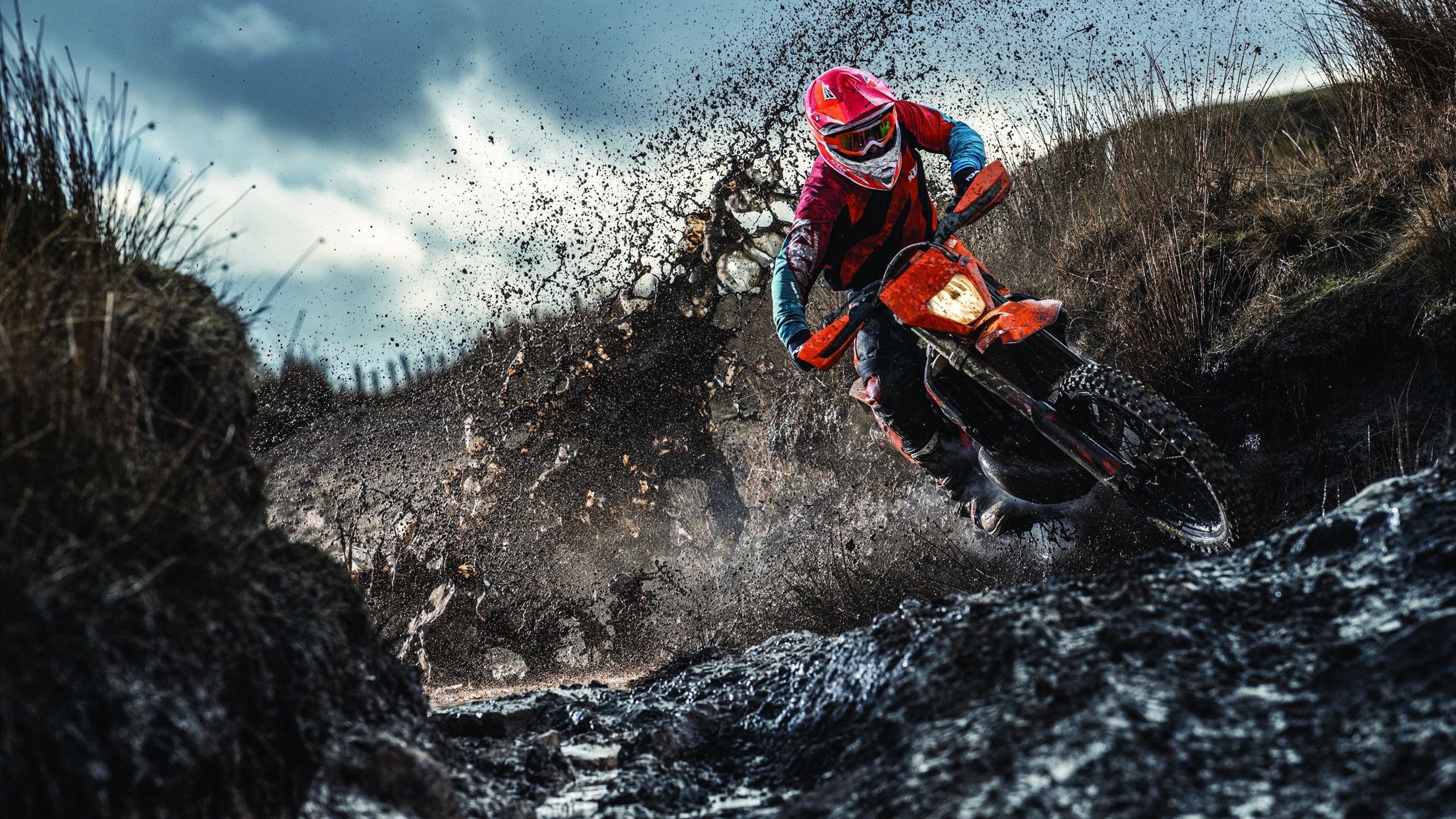 年度焦点之战,玻利维亚高原主场碾压威尔士